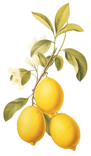 Слойки с творогом и лимоном оптом